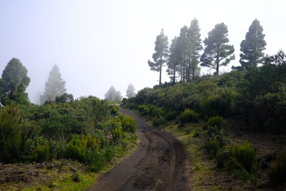 La palma gravel iles canaries canary islands cycling vélo itinéraire routes
