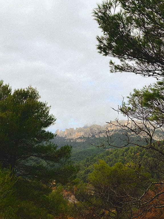 dentelles de montmirail provence vaucluse gravel ride