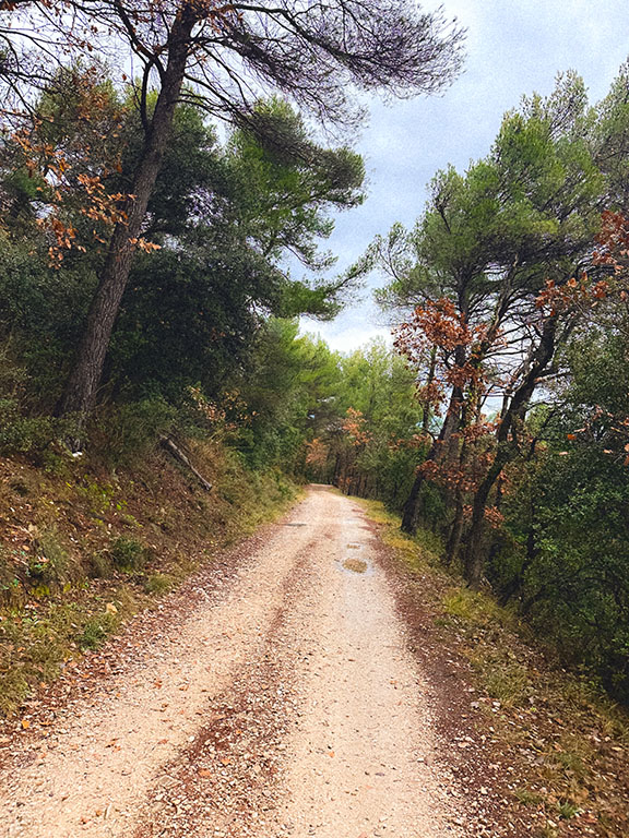 gravel trail ride vaucluse provence malaucène