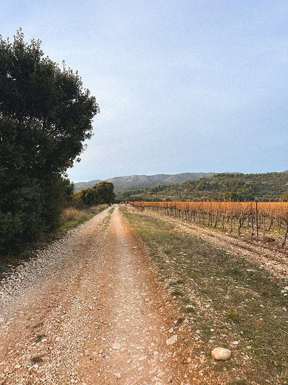 vineyards provence gravel ride vaucluse itinéraire vélo france