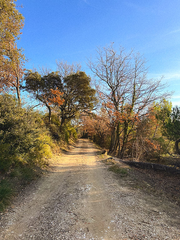 gravel trail Malaucène provence vaucluse cycling route itinéraire vélo