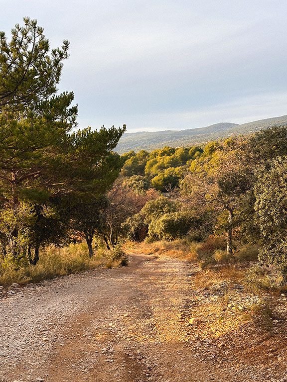 gravel trail Bédoin provence vaucluse cycling route