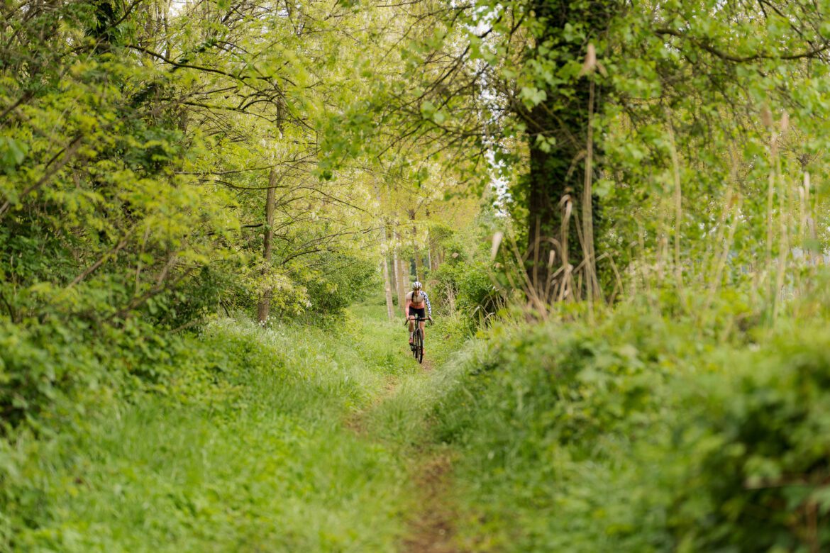 Truffe des collines gravel route itinéraire vélo ardèche Saint donat
