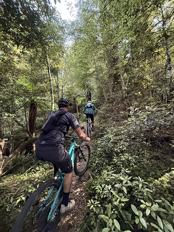 Te Iringa Track Taupo Trail VTT