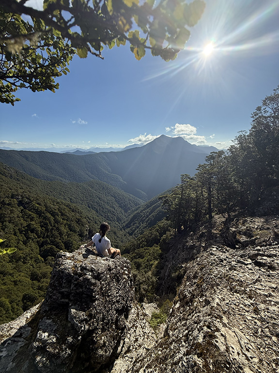 Wakamarina Track Hike New Zealand