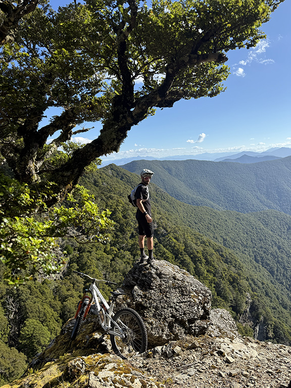 Wakamarina Track Hike New Zealand
