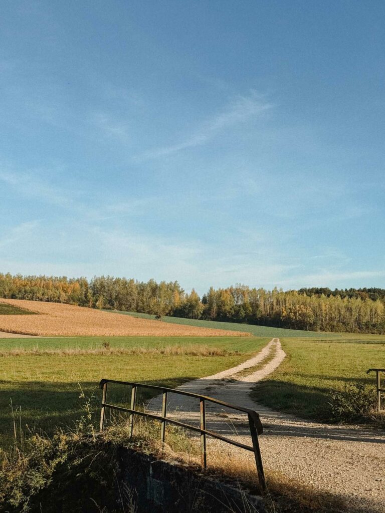 Sundgau