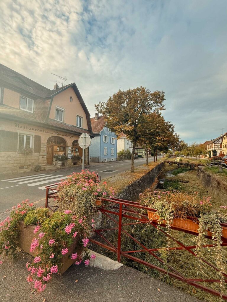 Sundgau